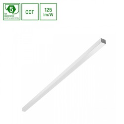 ALLDAY BASIC 30W/40W/50W 3CCT