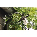 Authentage Outdoor wall lamp rural bronze-chrome-nickel 60cm 45°