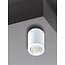 Ceiling light black, white or grey GU10 round 117mm high