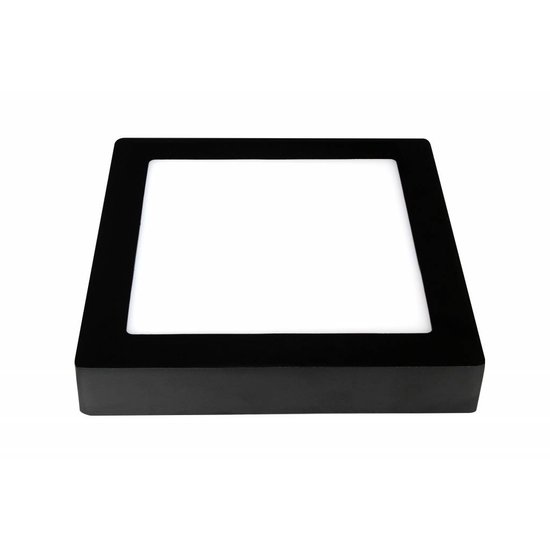 Fantasia Fluke square LED ceiling lamp 235x235 mm, white with black rim, dimmable