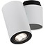 Cylinder ceiling light white or grey orientable GU10x1