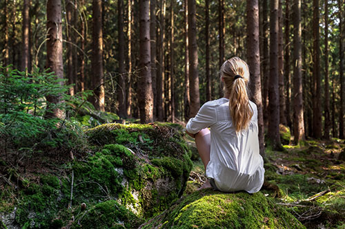 aarden oefening zittend in het bos