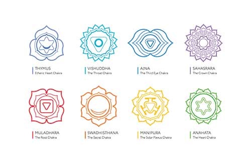 chakra-lotus