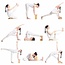 Yogablok | Eva Foam | Balanced Blue