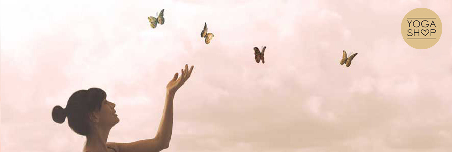 What is Mindfulness? And where can you learn this?