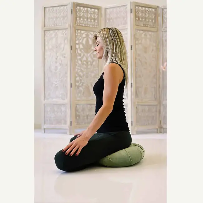 Meditation Cushion │ Crescent  │ Velvet with Buckwheat Filling │ Serene Sage