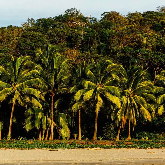 Das Essence Retreat – Innere Alchemie & Klang- und Stimmaktivierung