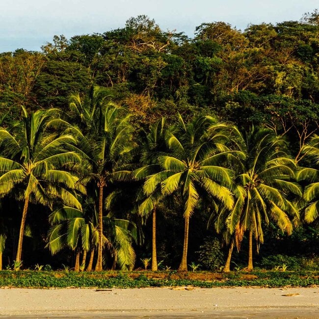 The Essence Retreat - Inner Alchemy & Sound and Voice Activation