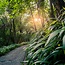 Core Frequency Retreat – Innere Alchemie & Klang- und Stimmaktivierung