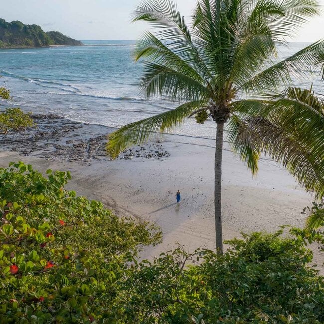 The Essence Retreat - Inner Alchemy & Sound and Voice Activation