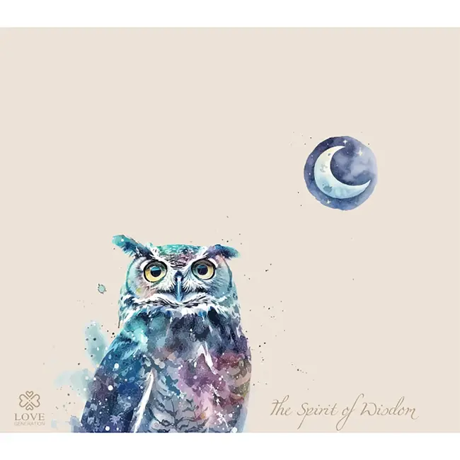 Waterfles - Drinkfles - 500 ml - Thermos - The Spirit of Wisdom