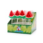 Felko lolly mini 24x17gr watermeloen