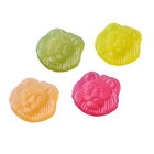 Frisia schepsnoep 3kg vegan leeuwen