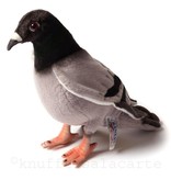 Hansa knuffels Hansa Plush Pigeon 29 cm