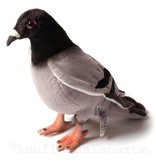 Hansa knuffels Pigeon Hansa Toy