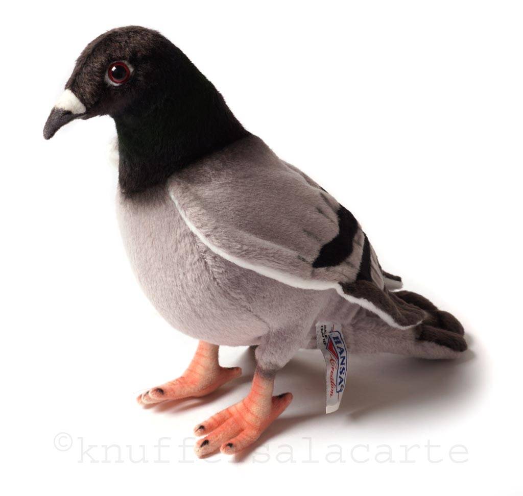 Hansa knuffels Hansa Plüschtaube 29 cm