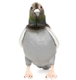 Hansa knuffels Hansa Plüschtaube 29 cm