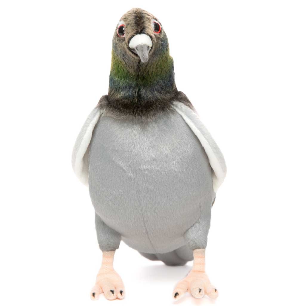 Hansa knuffels Hansa Plüschtaube 29 cm