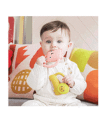 Oli and  Carol Donna Wilson / Oli&Carol teether and bath toy Richie lion