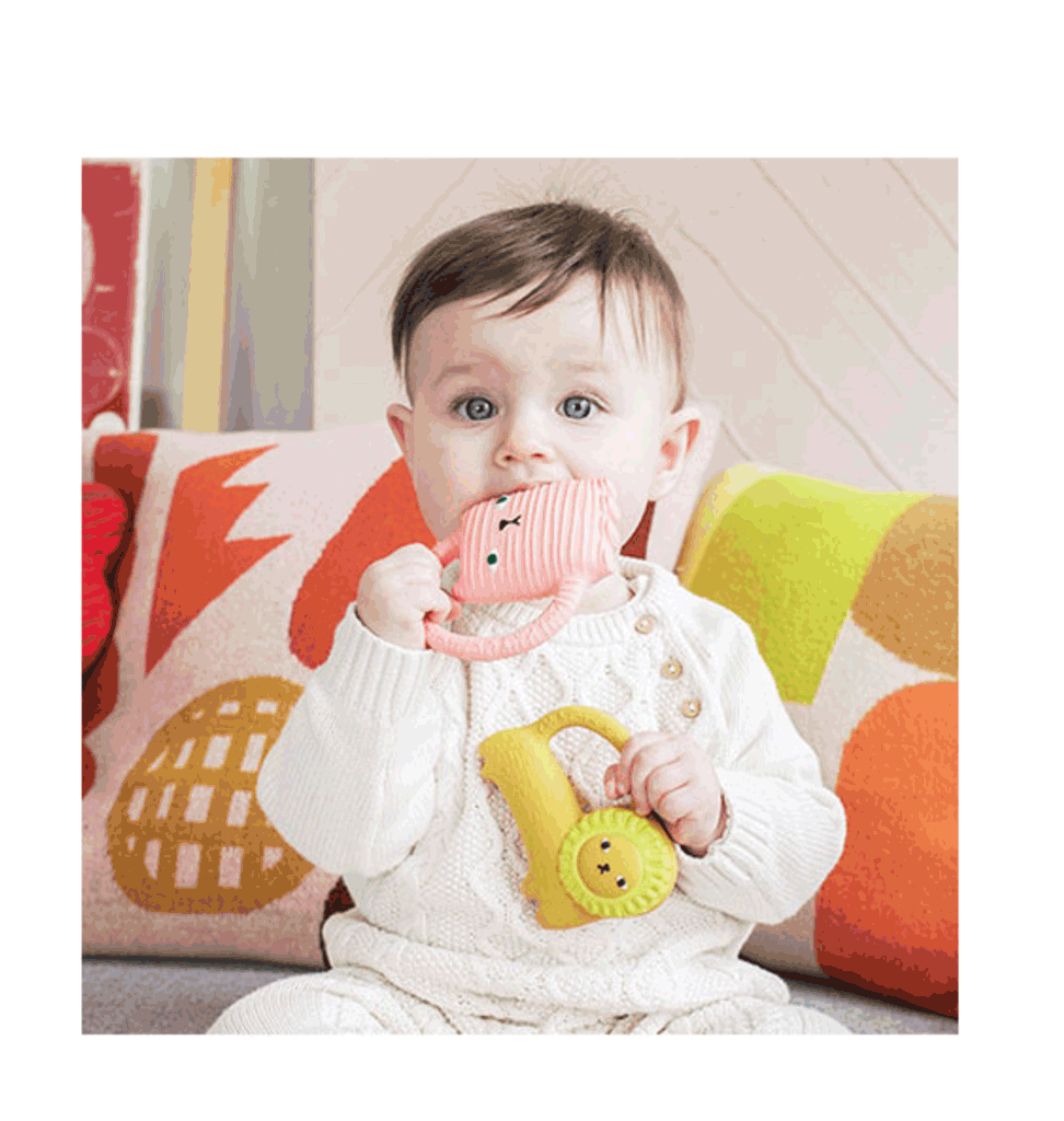 Oli and  Carol Donna Wilson / Oli&Carol teether and bath toy Richie lion