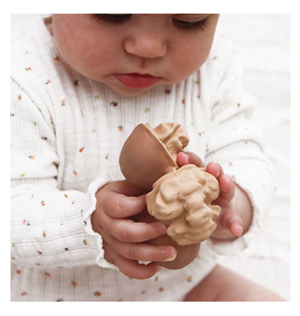 Oli and  Carol Oli & Carol Nutty the walnut bath toy and bite toy