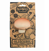 Oli and  Carol Manolo Mushroom van Oli & Carol   badspeeltje