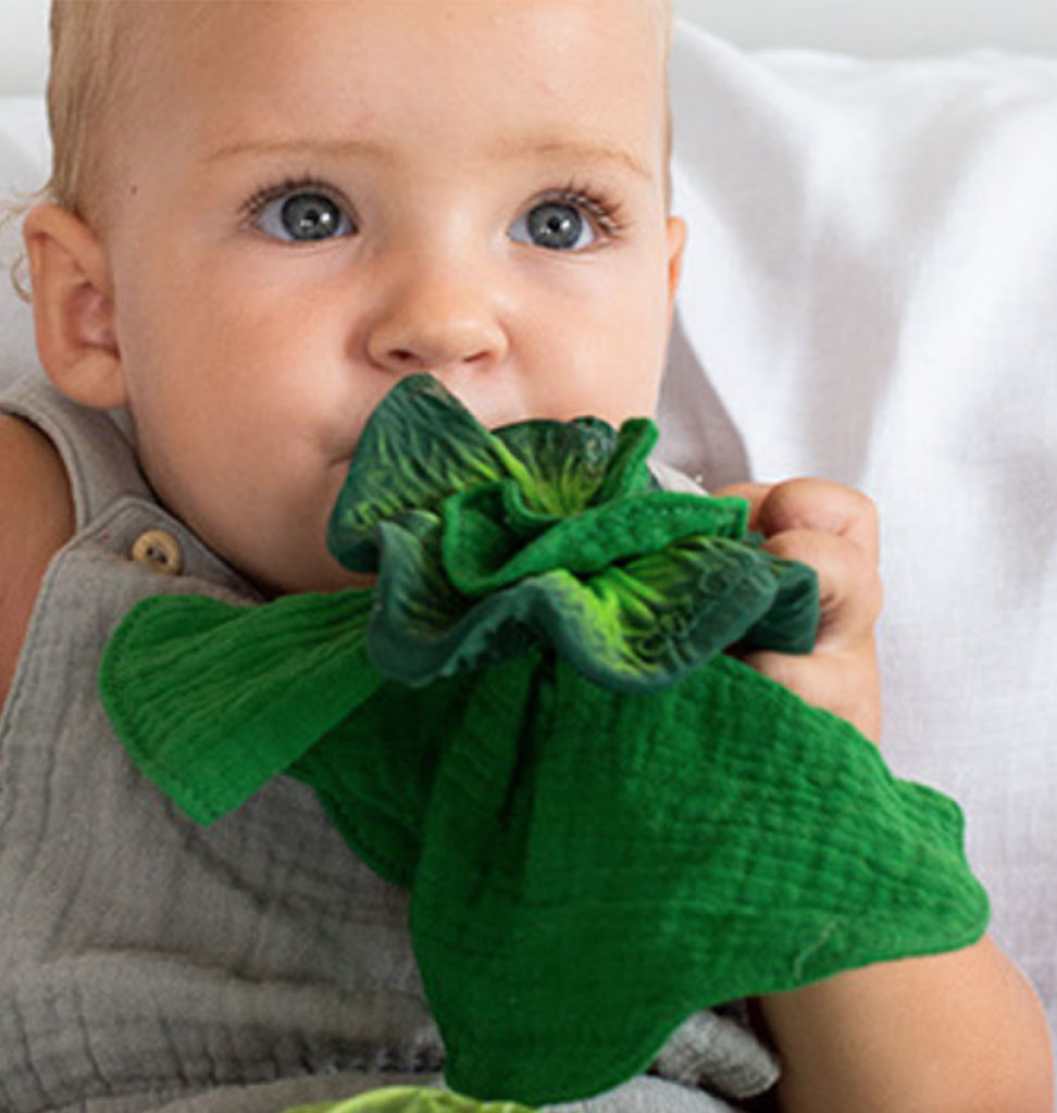 Oli and  Carol Oli & carol Kendall the cabbage, cuddle cloth and teething toy / two in one