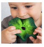 Oli and  Carol Oli & carol Kendall the cabbage, cuddle cloth and teething toy / two in one