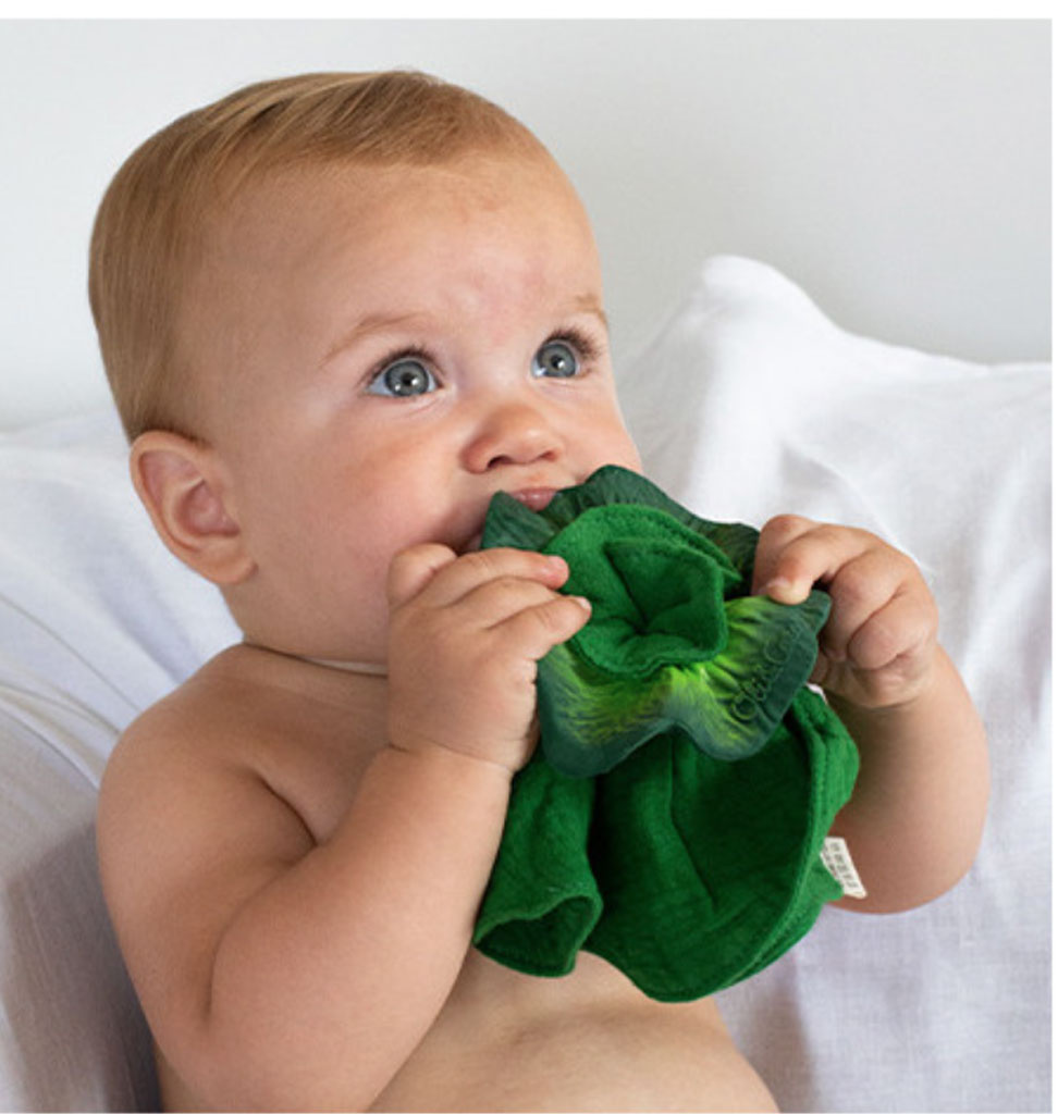 Oli and  Carol Oli & carol Kendall the cabbage, cuddle cloth and teething toy / two in one