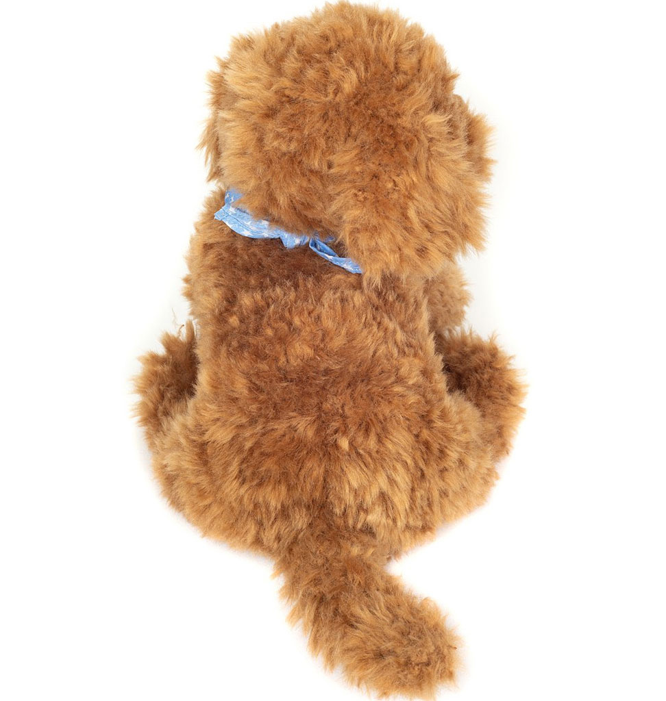 Hermann Teddy Collection Hermann Teddy / Labradoodle / Goldendoodle Welpe