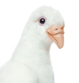 Hansa knuffels Weiße Taube von Hansa Creation