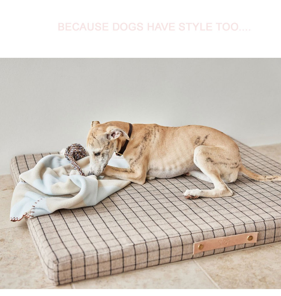 OYOY OYOY Hundespielzeug Otto Seil