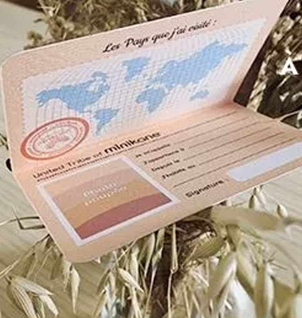 Minikane  Minikane passport for your doll