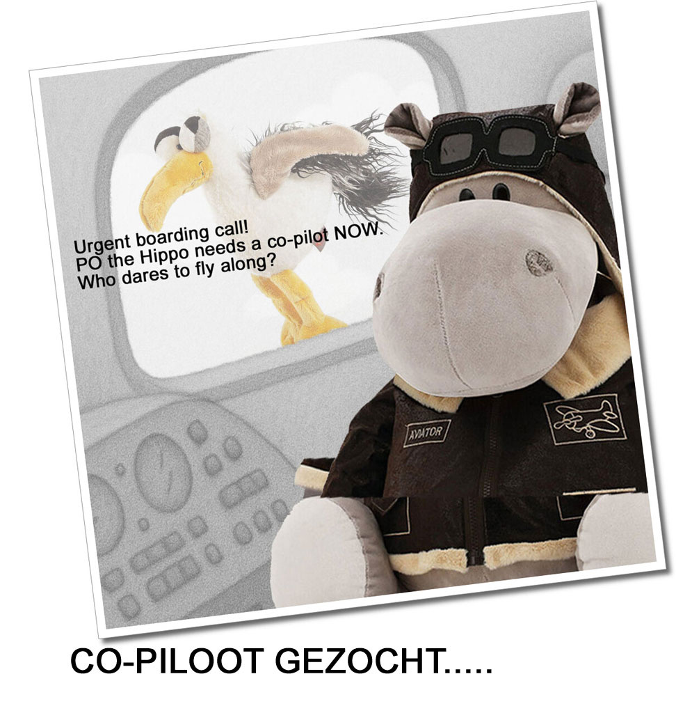 Orange Toys Orange Toys Po the hippo aviator