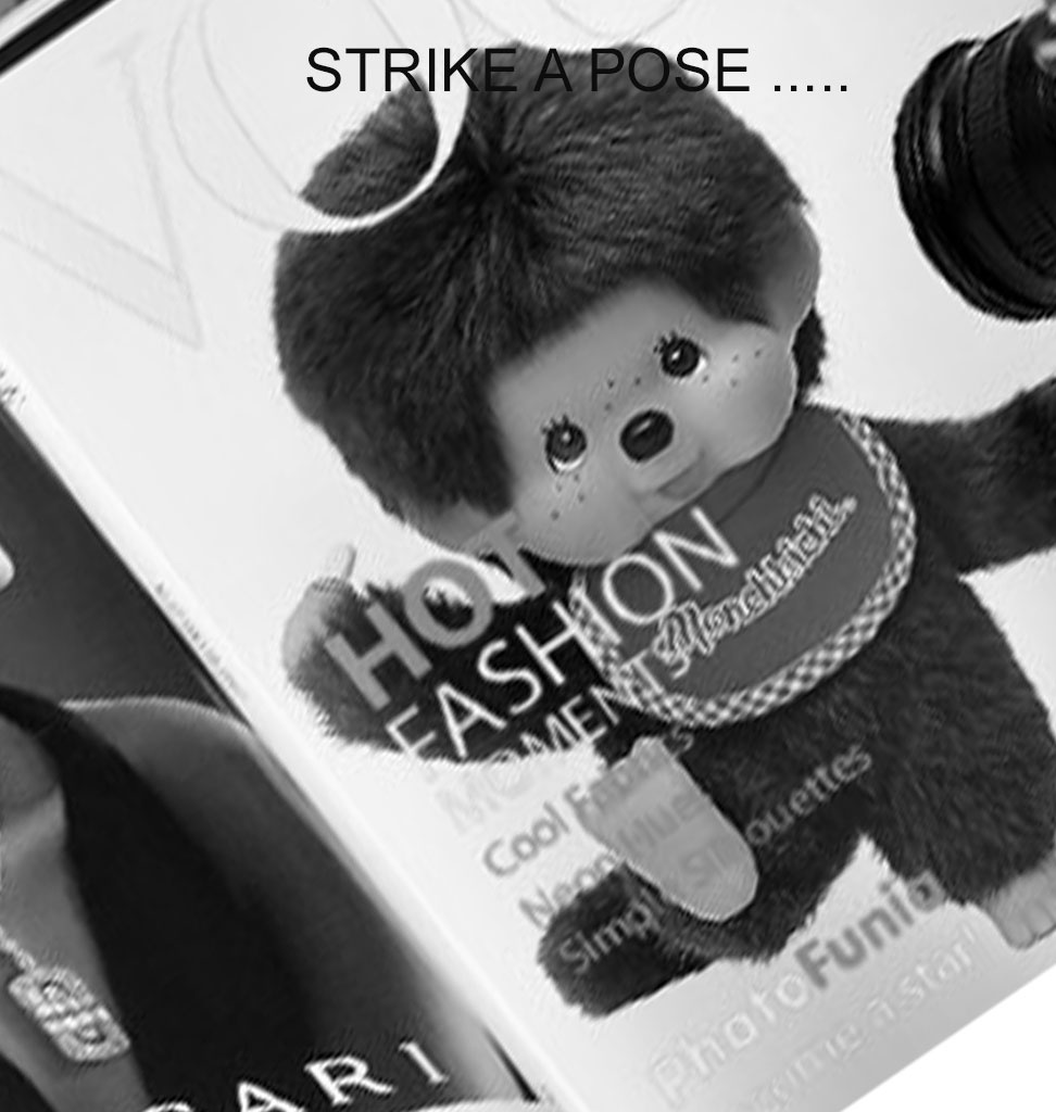Monchhichi Monchhichi Junge fotogen / flexibel
