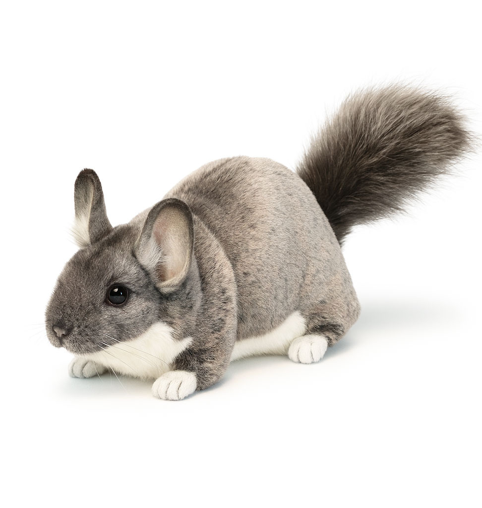 Hansa knuffels Hansa chinchilla pluche