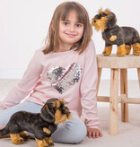 Hermann Teddy Collection Hermann Teddy / wire-haired dachshund dog