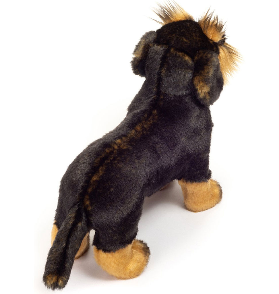 Hermann Teddy Collection Hermann Teddy / wire-haired dachshund dog