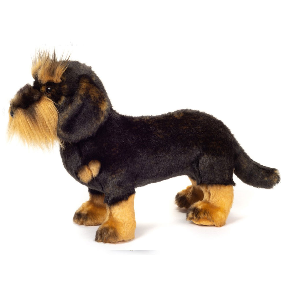 Hermann Teddy Collection Hermann Teddy / wire-haired dachshund dog