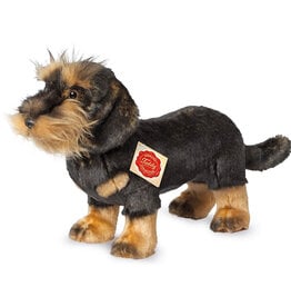 Hermann Teddy Collection Hermann Teddy / ruwharige teckel knuffelhond