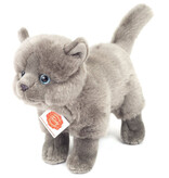 Hermann Teddy Collection  Hermann Teddy Chartreux graue Kuschelkatze (Chartreux-Katze)