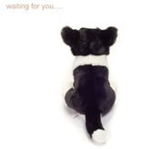 Hermann Teddy Collection Hermann Teddy / Border collie knuffelhond puppy