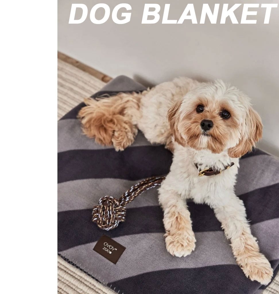 OYOY Zoo hondenset plaid en bot voor honden