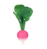 Oli and  Carol Oli & Carol Ramona Radish and Pepino Cucumber Set