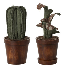 Maileg Maileg-Set mit Pflanze und Kaktus für das Puppenhaus/Mäusehaus