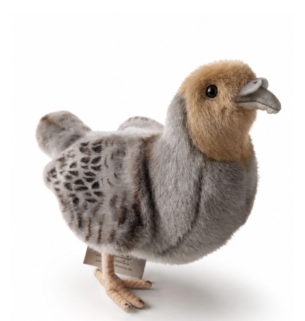Hansa knuffels Hansa Creation Rebhuhn