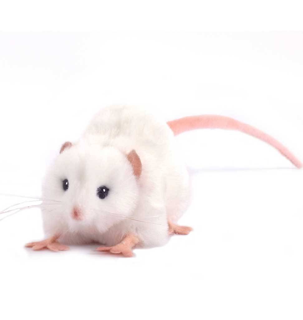 Hansa knuffels Hansa Creation white plush rat