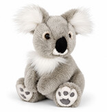 Minikane  Minikane/Semo koalabeer