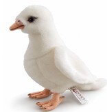 Hansa knuffels Knuffelduif Hansa witte knuffelduif