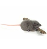 Hansa knuffels gray cuddly rat Hansa cuddly toys 12 cm
